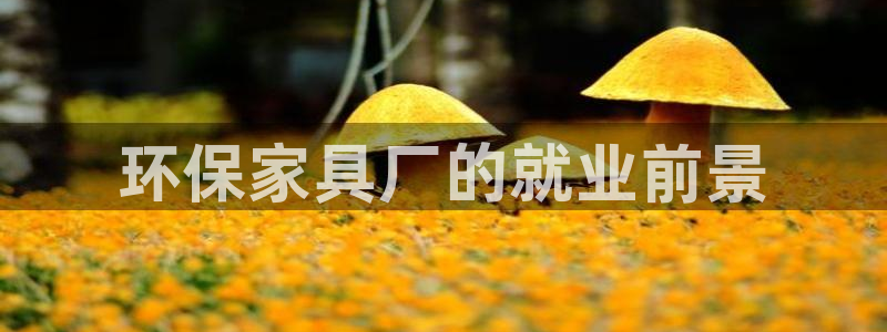 杏耀注册登录代理