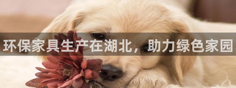 杏耀注册主管