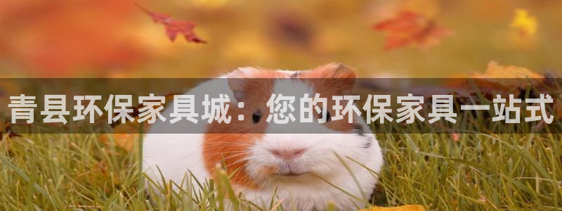 杏耀平台注册会员