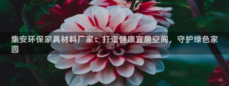 杏耀开户app下载