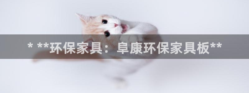 杏耀官方娱乐