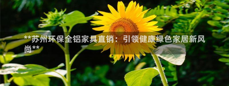 杏耀平台官方网站下载