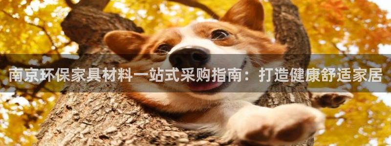 杏耀是什么平台