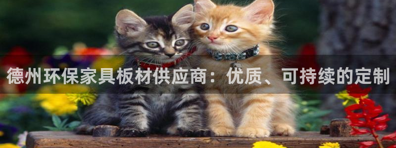 杏耀代理注册中心