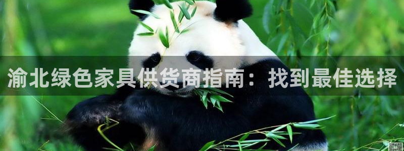 杏耀平台开户：渝北绿色家具供货商指南：找到最佳选择