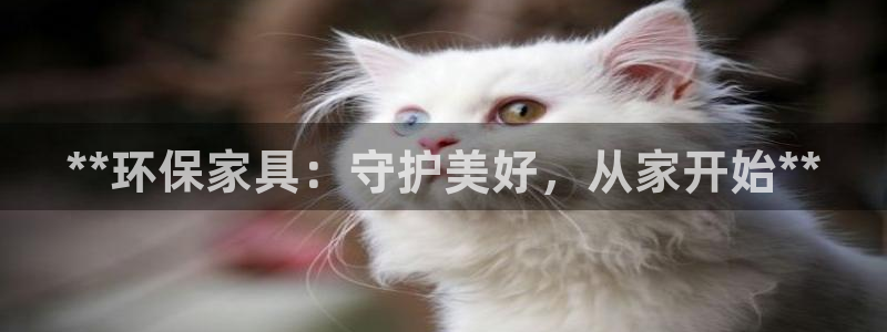 杏耀平台的专用通道