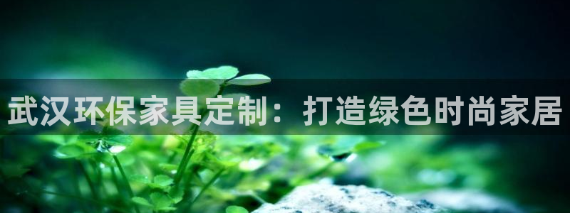 杏耀平台官网登录：武汉环保家具定制：打造绿色时尚家居