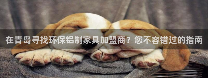 杏耀注册主管：在青岛寻找环保铝制家具加盟商？您不容错过的指南
