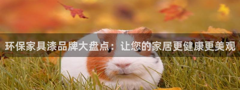 杏耀平台登录网址：环保家具漆品牌大盘点：让您的家居更健康更美