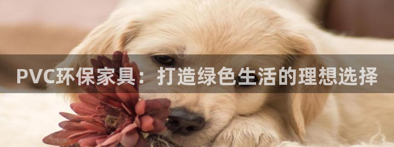 杏耀官网娱乐