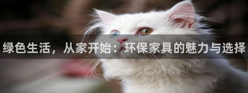 杏耀代理注册开户：绿色生活，从家开始：环保家具的魅力与选择