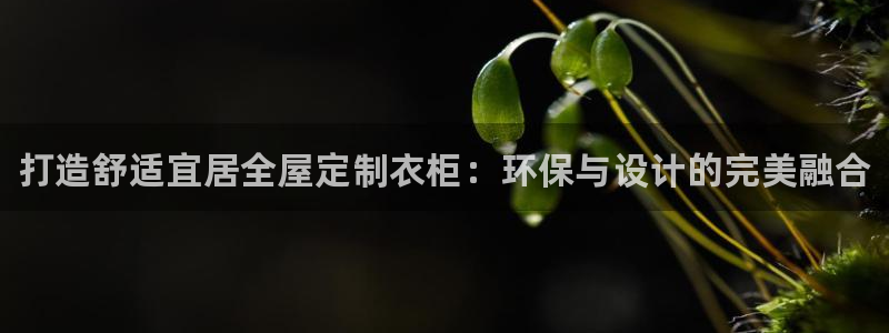 杏耀登陆电脑线路测速：打造舒适宜居全屋定制衣柜：环保与设计的