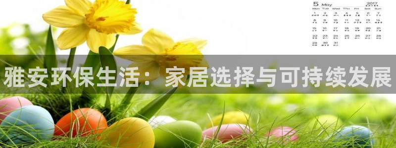 杏耀代理日工资多少：雅安环保生活：家居选择与可持续发展