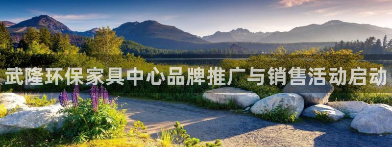 杏耀代理注册中心：武隆环保家具中心品牌推广与销售活动启动