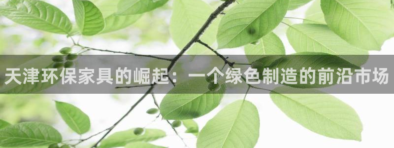 杏耀登录测速：天津环保家具的崛起：一个绿色制造的前沿市场