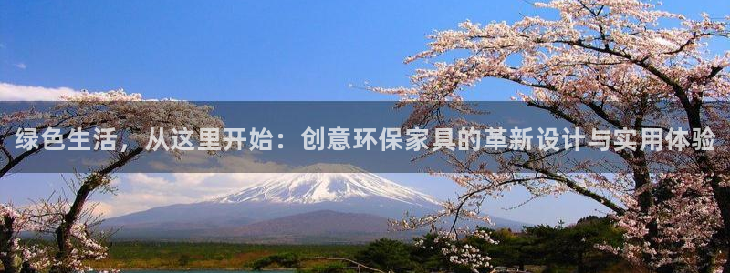 杏耀代理注册：绿色生活，从这里开始：创意环保家具的革新设计与