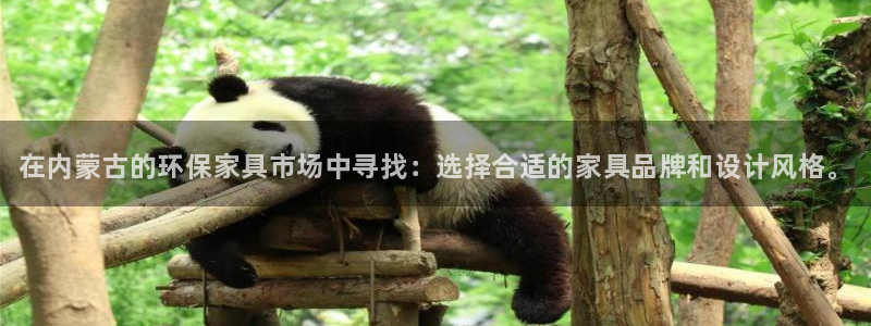 杏耀平台注册代理：在内蒙古的环保家具市场中寻找：选择合适的家