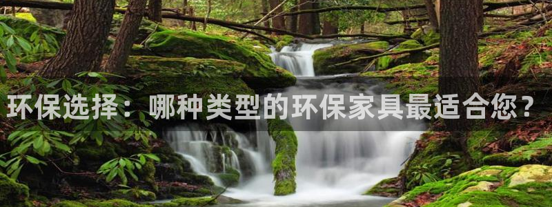 杏耀客户端登录：环保选择：哪种类型的环保家具最适合您？