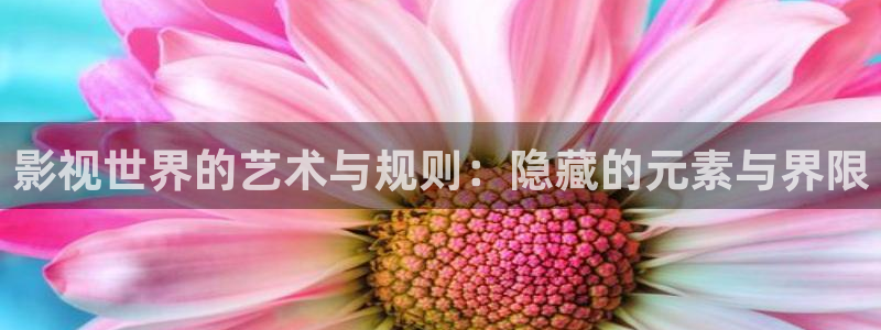 开心影院在线观看av：影视世界的艺术与规则：隐藏的元素与界限